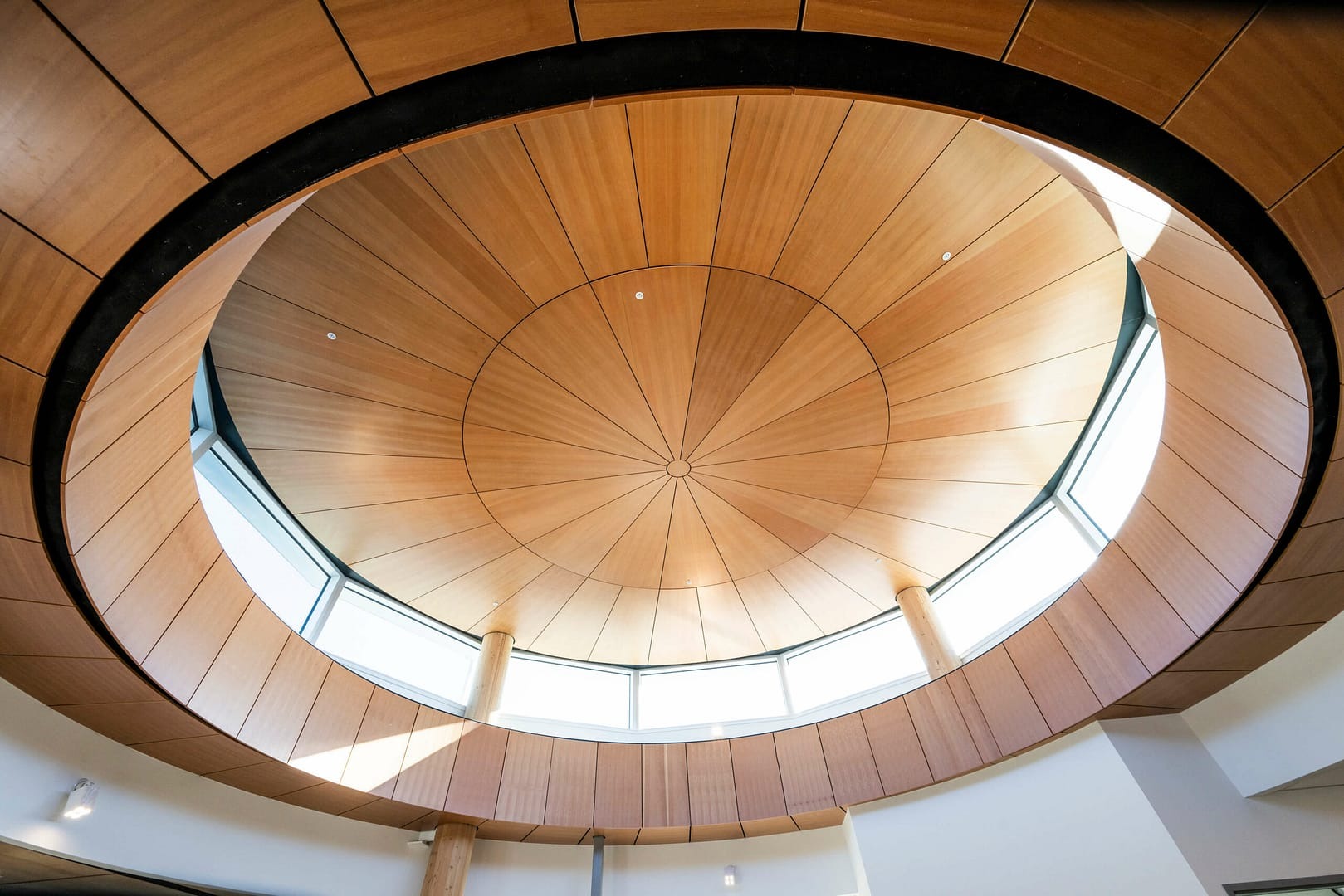 Natural wood wall and ceiling panels improve academic environments