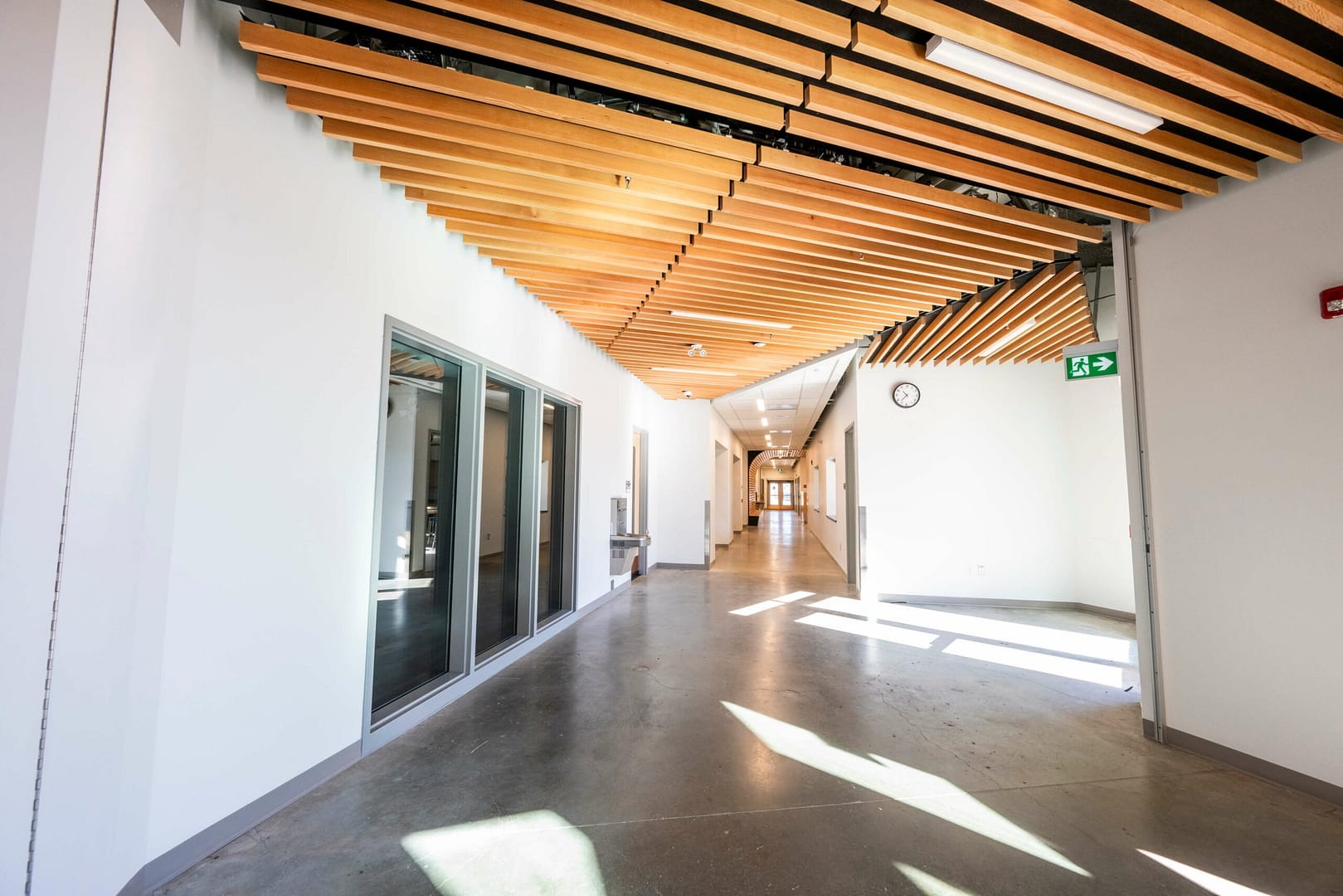 Schmitt&Co - Linea Ceilings - Natural wood wall and ceiling panels