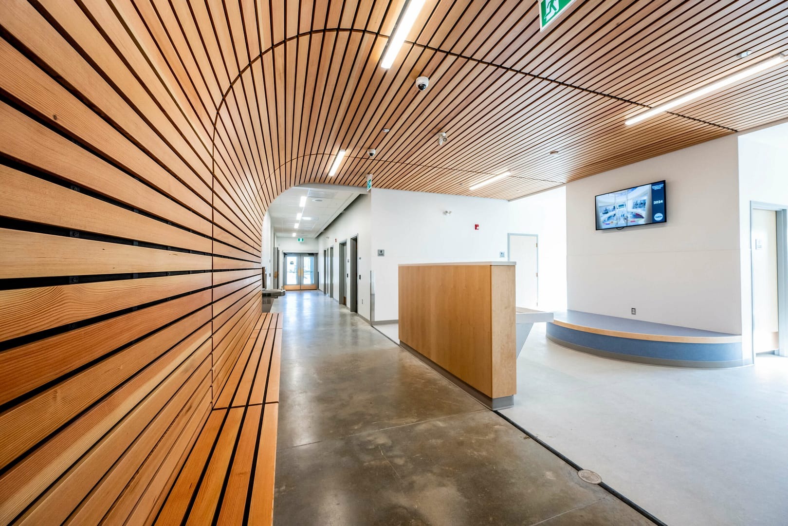 Schmitt&Co - Linea Ceilings - Natural wood wall and ceiling panels